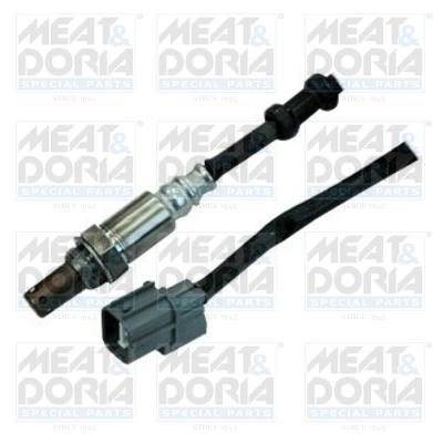 Oxygen Sensor